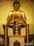 佛教的舍利指的是什么