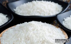 不同的吃法选用不同的大米