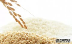 粳米与籼米的区别在哪？