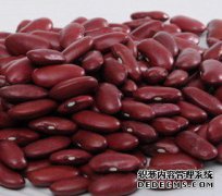 红豆减肥法