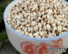 珍珠粳米粥的做法